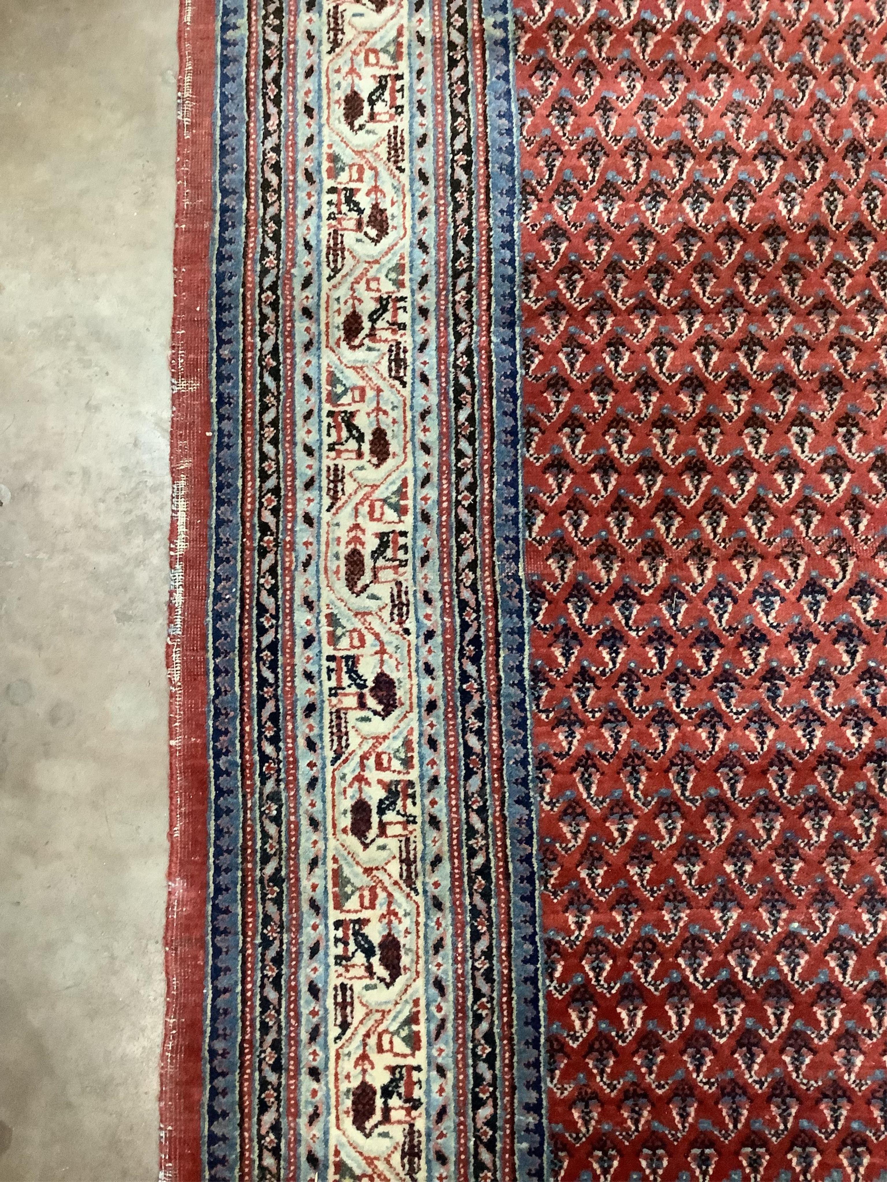 A rectangular Saraband Hamadan Boteh design rug with repeat central field and mythical animal design 253 x 190cm. Condition - fair